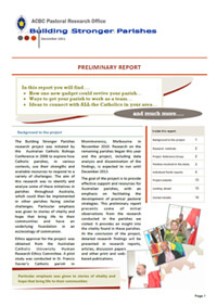 BSP Prelim Report