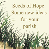 Seeds-of-hope